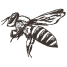 abeja-logo